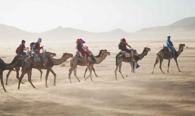 Camels Still Ideal for Crossing Desert Terrain